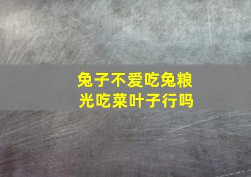 兔子不爱吃兔粮 光吃菜叶子行吗